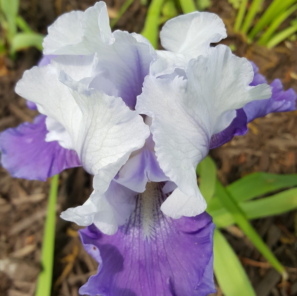 Meet your Posher, Sandra